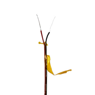 अच्छा मूल्य डिंगज़ुन थर्मोकपल केप्टन इंसुलेशन पॉलीमाइड जैकेट टाइप के वायर ऑनलाइन